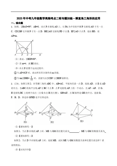 2023年中考九年级数学高频考点二轮专题训练--解直角三角形的应用