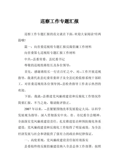巡察工作专题汇报