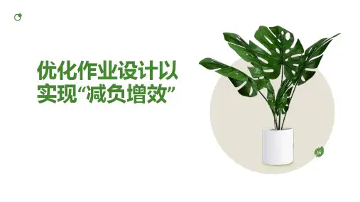 优化作业设计以实现“减负增效”