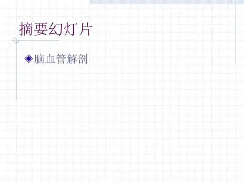 脑血管解剖