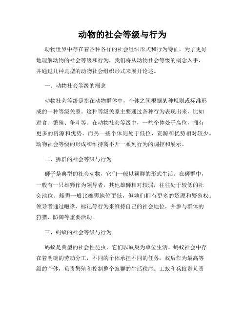动物的社会等级与行为