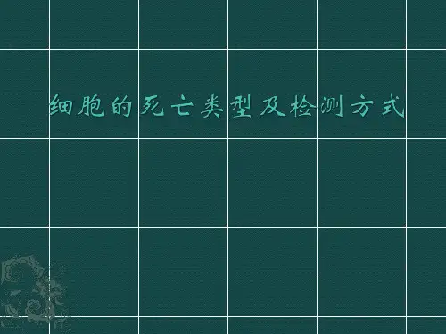细胞死亡的类型