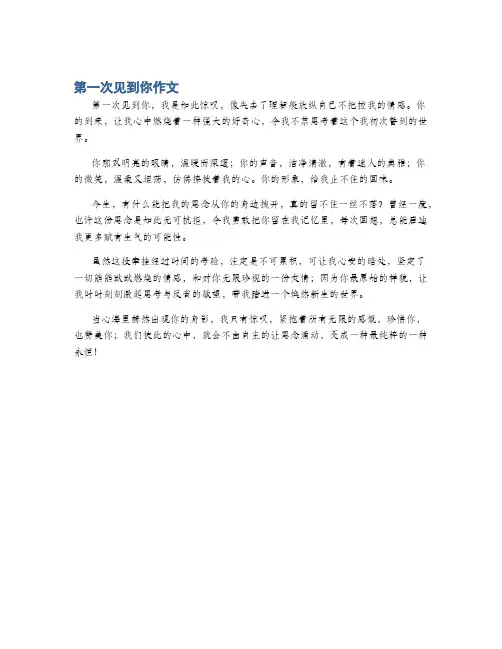 第一次见到你作文