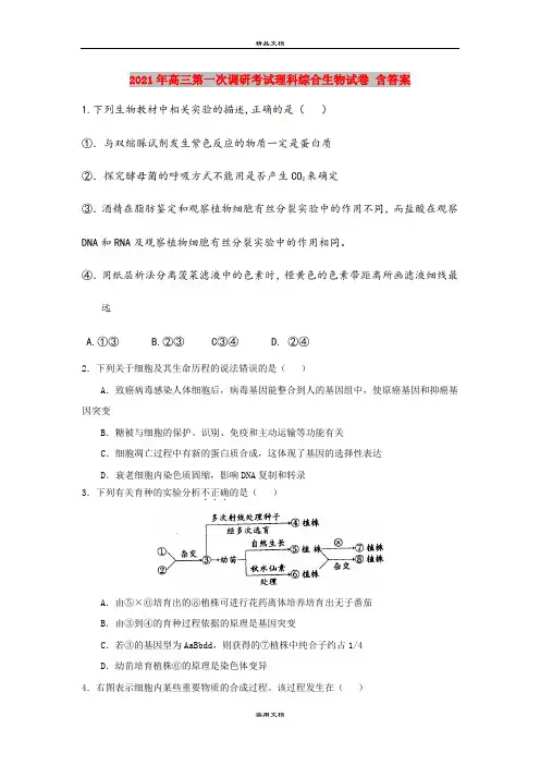 2021年高三第一次调研考试理科综合生物试卷 含答案