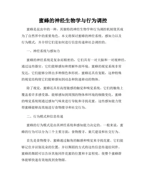蜜蜂的神经生物学与行为调控