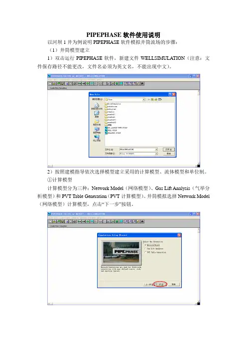 PIPEPHASE软件使用说明.docx