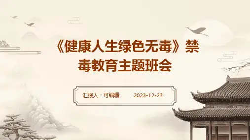《健康人生绿色无毒》禁毒教育主题班会PPT