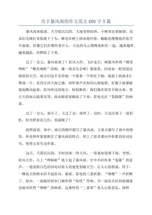 关于暴风雨的作文范文600字5篇