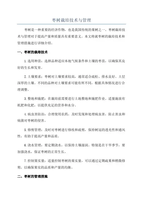 枣树栽培技术与管理