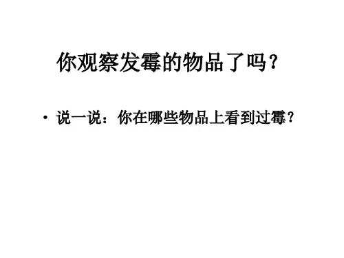 六年级上册科学课件-1.3 馒头发霉了｜苏教版 (共14张PPT)