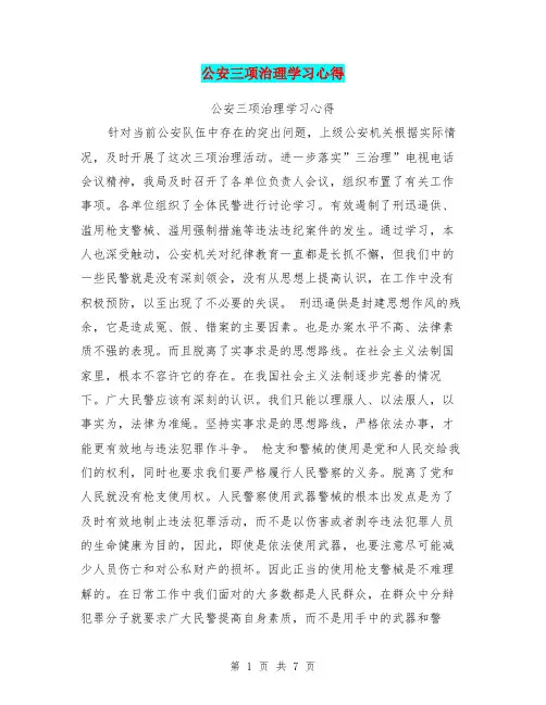 公安三项治理学习心得