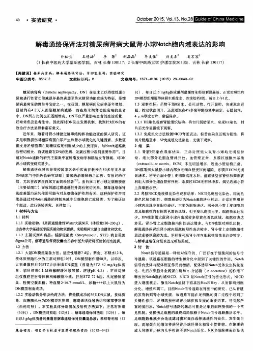 解毒通络保肾法对糖尿病肾病大鼠肾小球Notch胞内域表达的影响