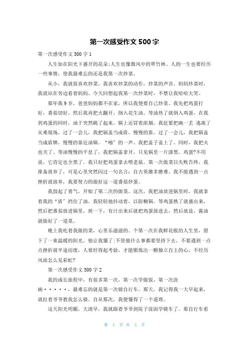 第一次感受作文500字
