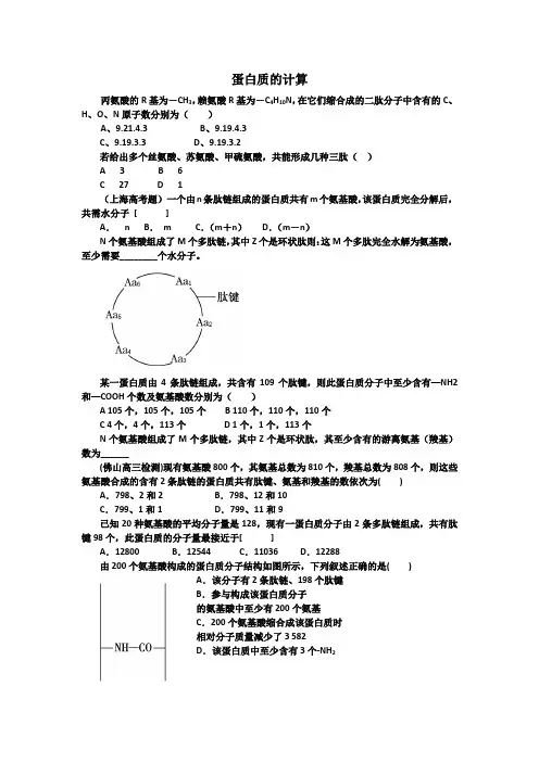 高中生物—蛋白质的计算