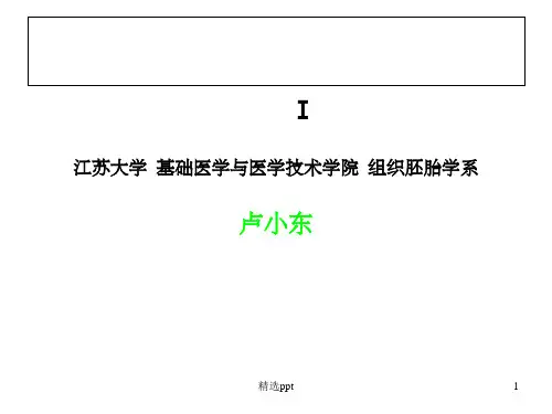 《切片技术》PPT课件