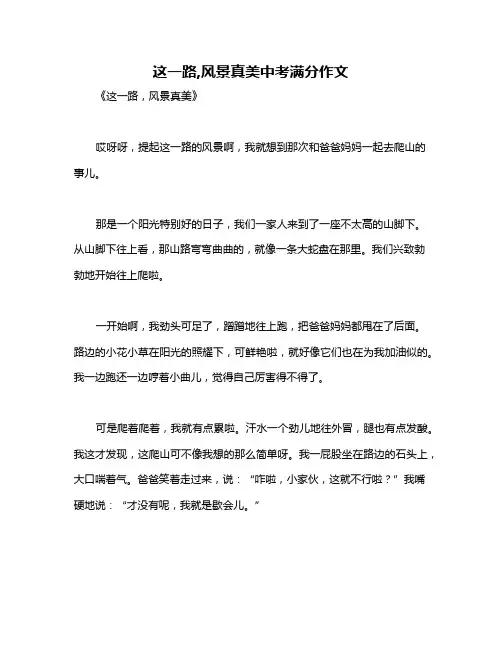 这一路,风景真美中考满分作文