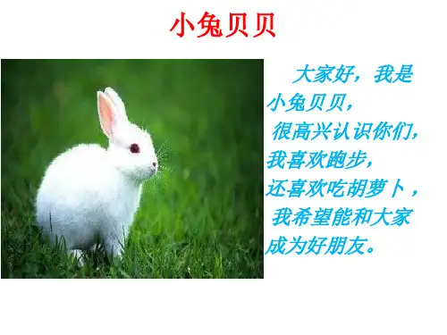 一年级上册道德与法治优秀课件-拉拉手 交朋友 ppt【人教新版】