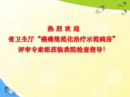 省一院癌痛规范化治疗示范病房汇报材料