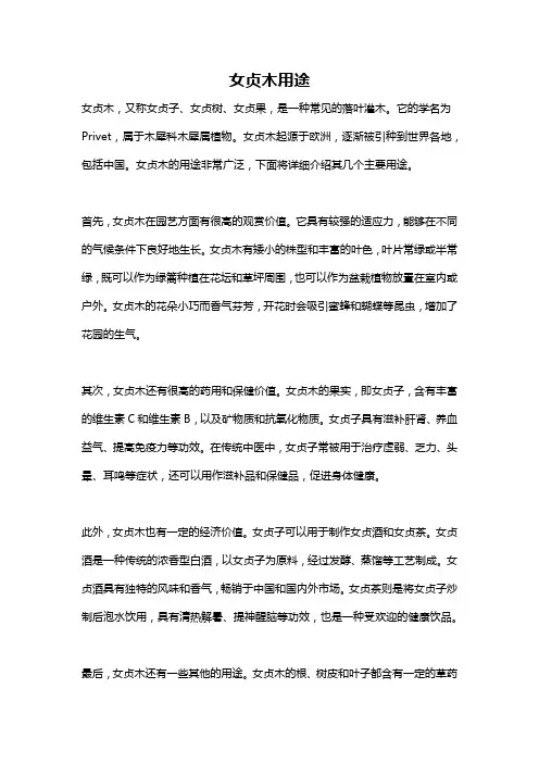 女贞木用途
