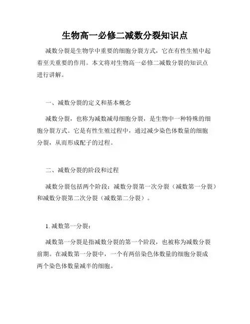 生物高一必修二减数分裂知识点