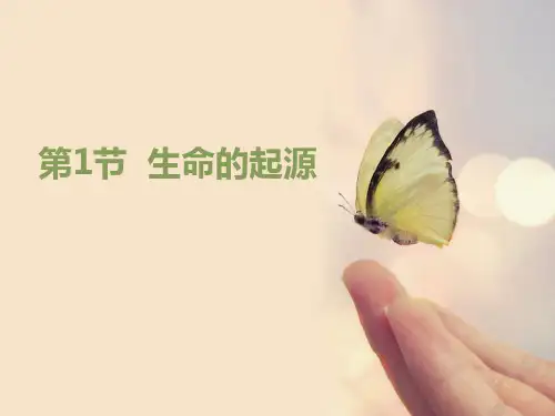 《生命的起源》PPT
