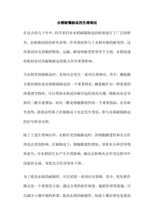 水稻耐镉胁迫的生理响应