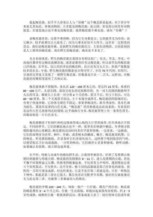 鹿中极品梅花鹿的简单介绍