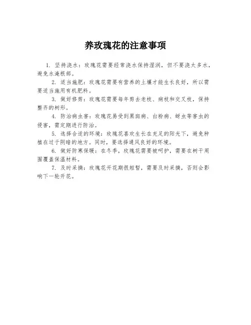养玫瑰花的注意事项