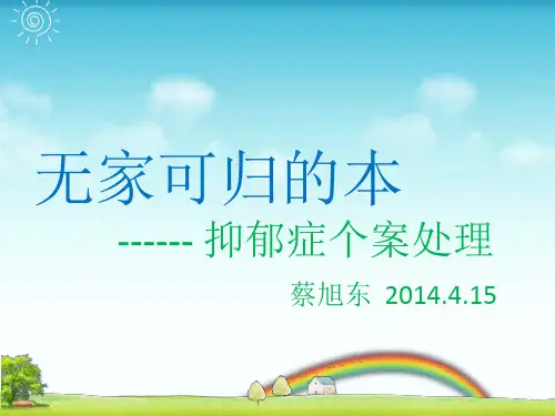 高级社工实务案例分析