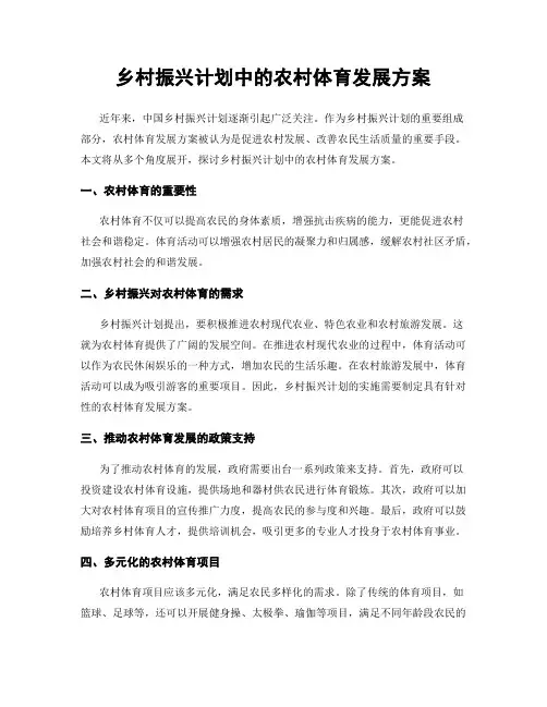 乡村振兴计划中的农村体育发展方案