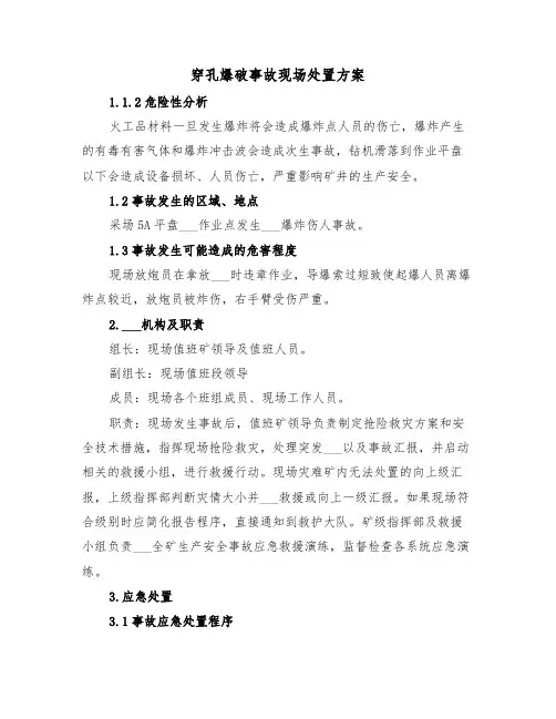 穿孔爆破事故现场处置方案（二篇）