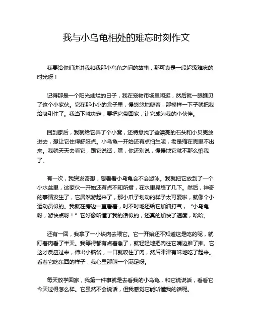 我与小乌龟相处的难忘时刻作文