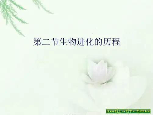 第二节生物进化的历程(共9张PPT)