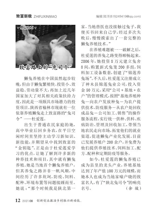 致富路上的“兔司令”