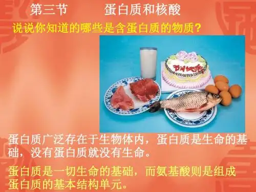 蛋白质和核酸》课件(新人教选修