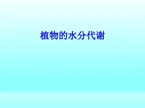 植物的水分代谢