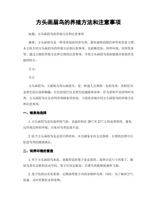 方头画眉鸟的养殖方法和注意事项