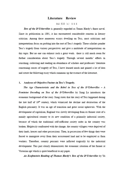 Literature  Review (Sample 1)文献综述1