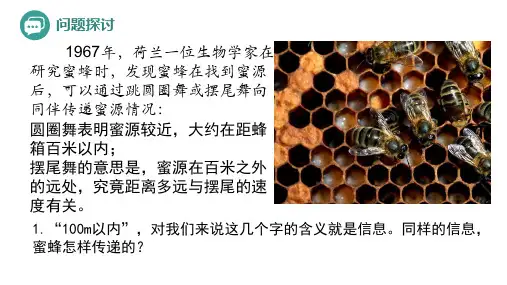 生态系统的信息传递-高二生物(人教版2019选择性必修2)