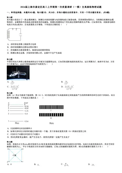 2024届上海市嘉定区高三上学期第一次质量调研(一模)全真演练物理试题