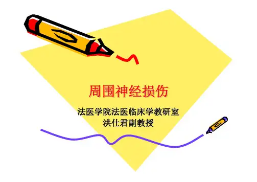 周围神经损伤