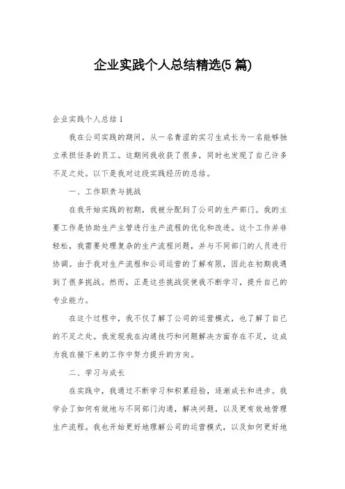 企业实践个人总结精选(5篇)