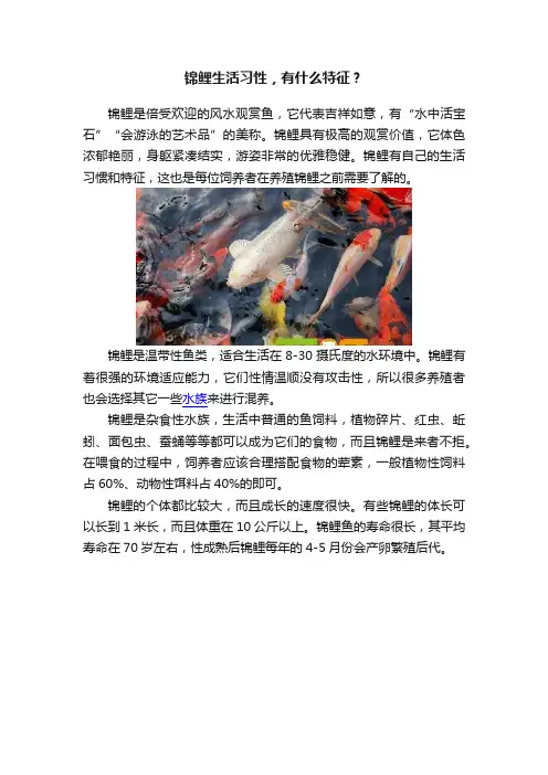 锦鲤生活习性，有什么特征？