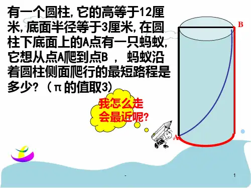 八上---1.3蚂蚁怎样走最近PPT课件