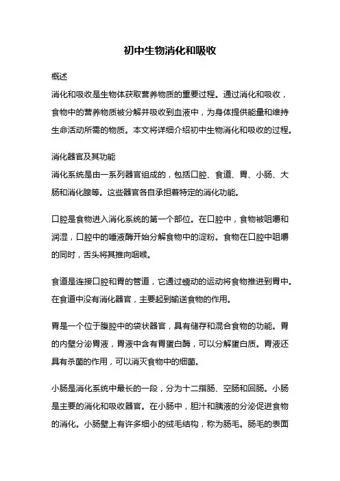 初中生物消化和吸收