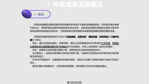 桥梁结构健康检测系统简介PPT课件