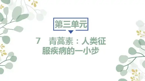 《青蒿素—人类征服疾病的一小步》ppt课件