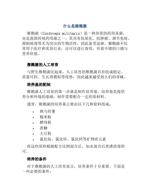 什么是雁鹅菌雁鹅菌的人工培育与栽培技术