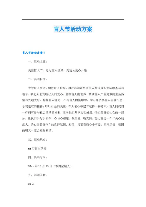 盲人节活动方案.doc