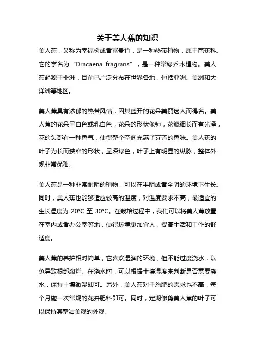 关于美人蕉的知识